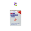 RITEMED AMOXICILLIN 500MG CAP